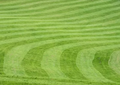 Lawn Mowing and Excavation Contractors